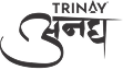 TRINAY LOGO